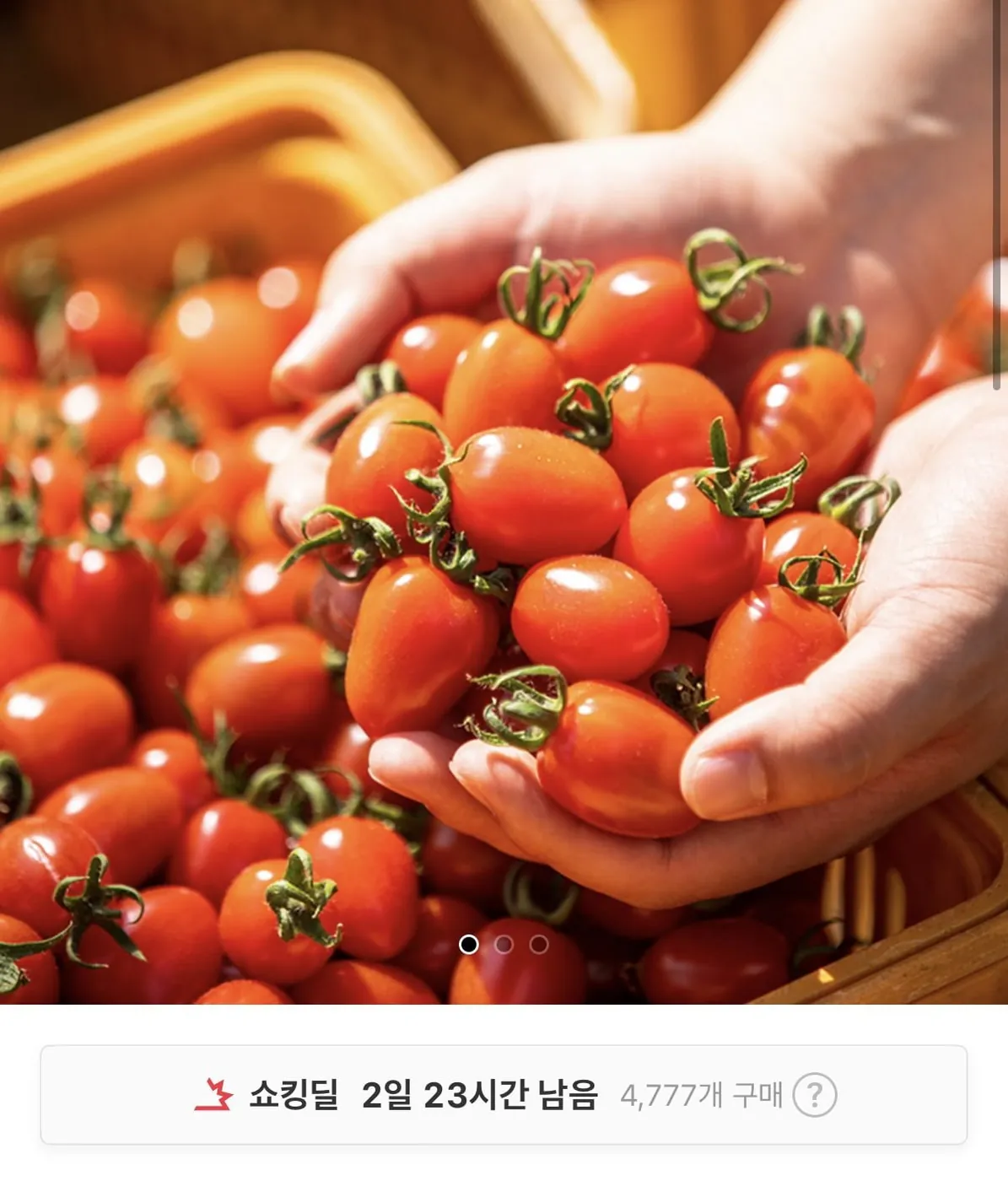 [11번가] 로얄과 대추 방울토마토 2kg (10,950원/무료)