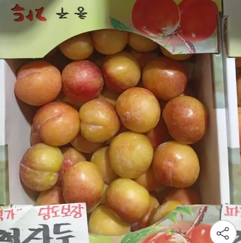 [G마켓] 추희자두 대과 3kg 100g급 30개 내외 (18,910원/무배)