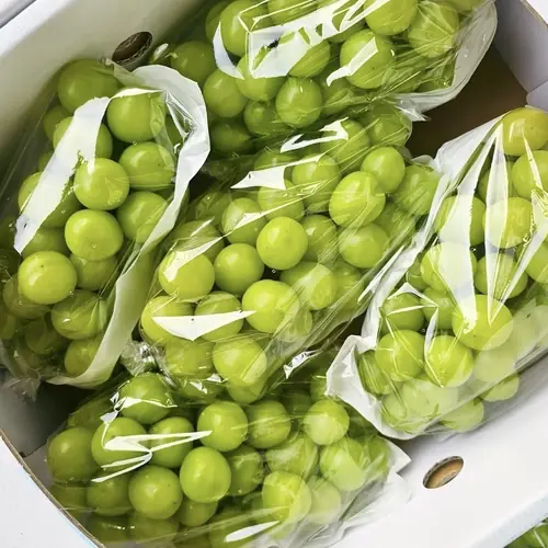 [토스쇼핑] 프로프룻 샤인머스켓, 특품, 2kg, 1박스(11,900원/무료)