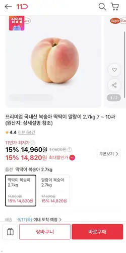 [11번가] 국내산 복숭아 딱/말 2.7kg (15,220원/무료)