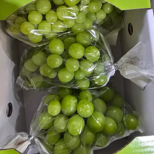 [토스쇼핑] 씨없는 포도 샤인머스켓, 랜덤과, 2kg, 1개 (9,800원 / 무료)